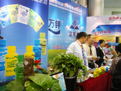 第十七屆農高會會場